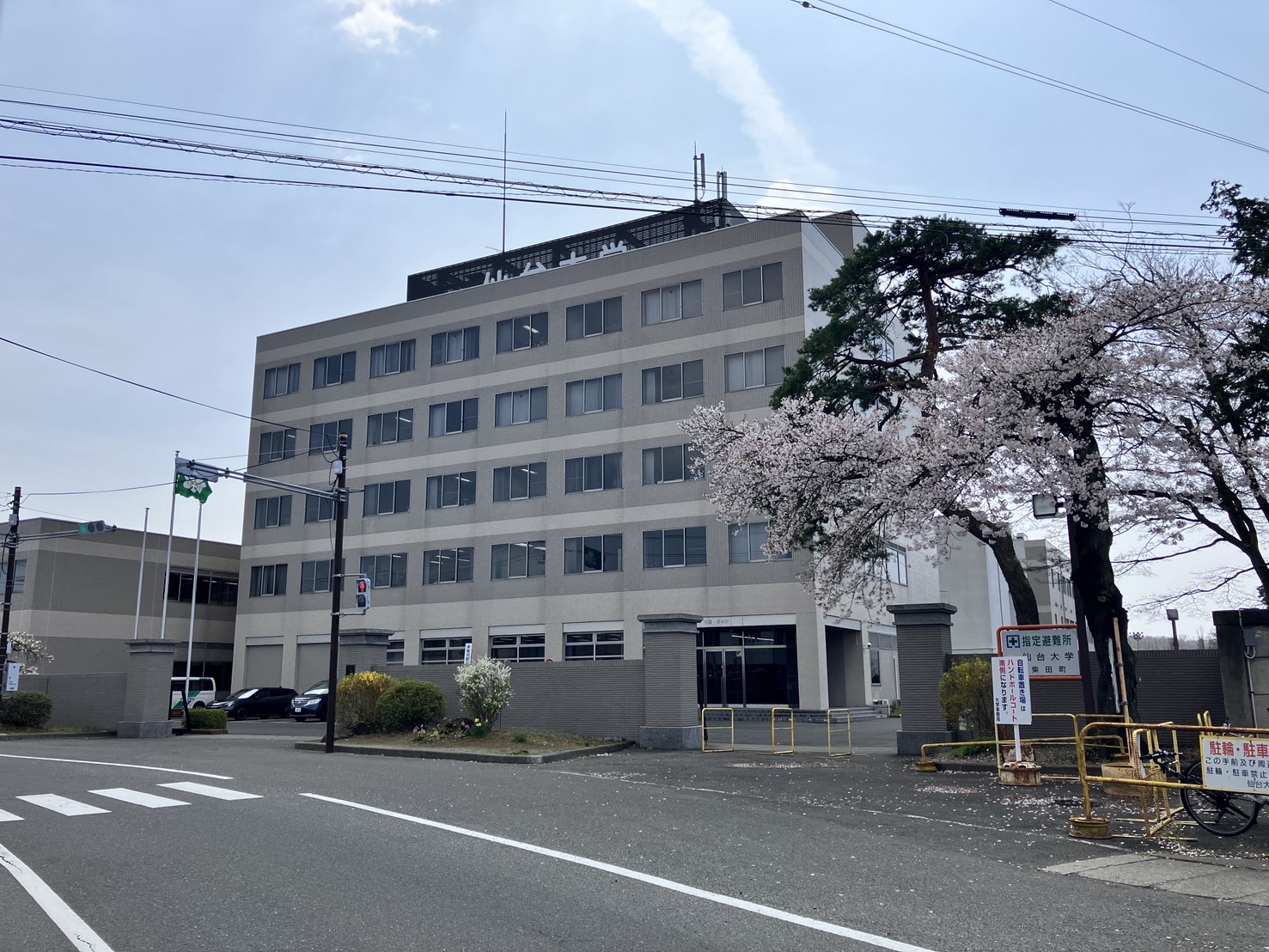 大学生向けライブ配信講義 講師